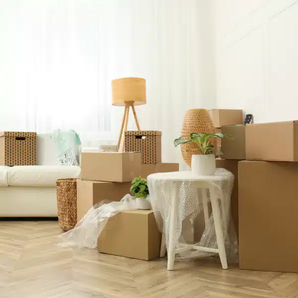 Moving cleaning services Boise ID