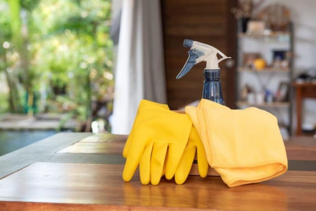 Boise home cleaning tips