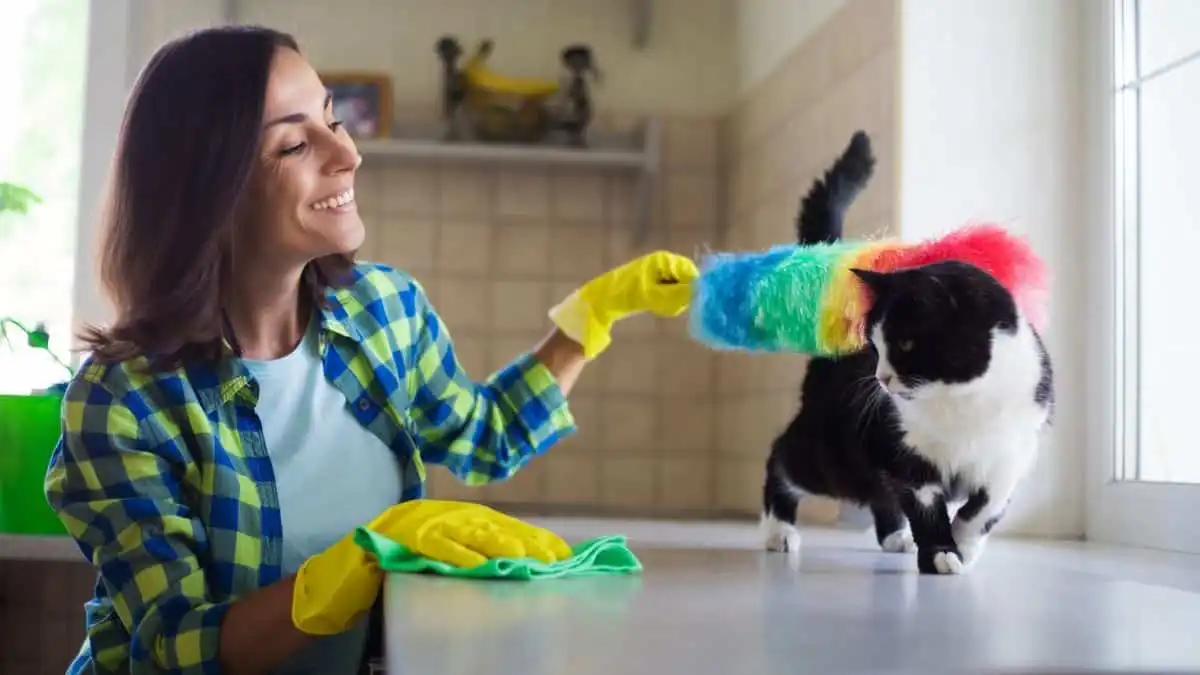 How to Keep Treasure Valley Dust From Settling Everywhere in Your Home in Meridian