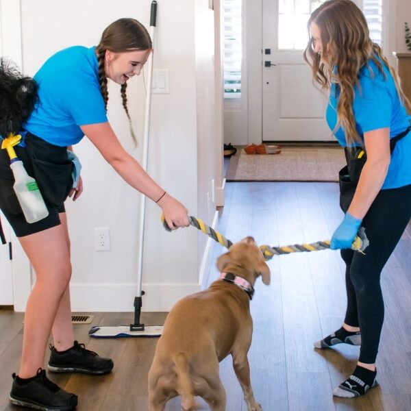 Peace of mind when working with Favorite Day Maids and booking a house cleaning service